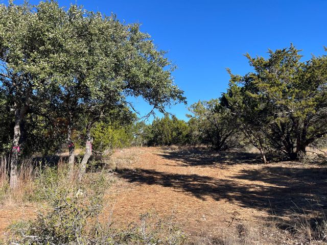 TBD Lost Oak TRL, Johnson City, TX 78636