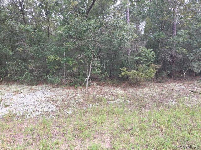 8789 N Malibu Road, Citrus Springs, FL 34434