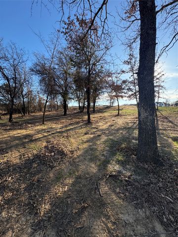 297 Zebrastone Way, Poolville, TX 76487