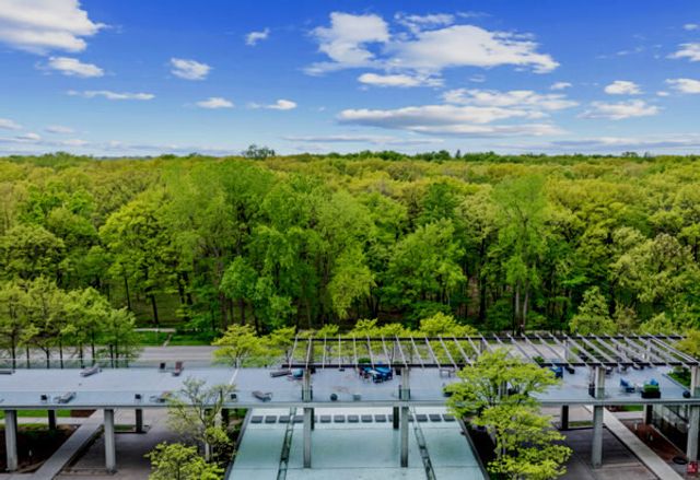 9715 Woods Drive 1008, Skokie, IL 60077
