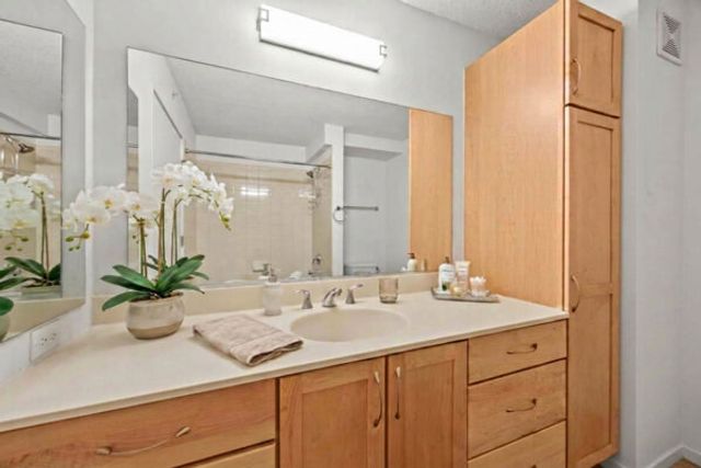 9715 Woods Drive 1008, Skokie, IL 60077