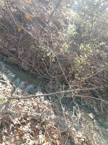 4014 S State Line Road, Morgan Twp, OH 45053