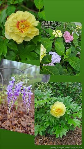 6 S Allyson Place, Vass, NC 28394