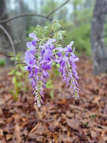 6 S Allyson Place, Vass, NC 28394