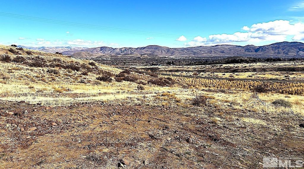 790 Schellbourne Street, Reno, NV 89511