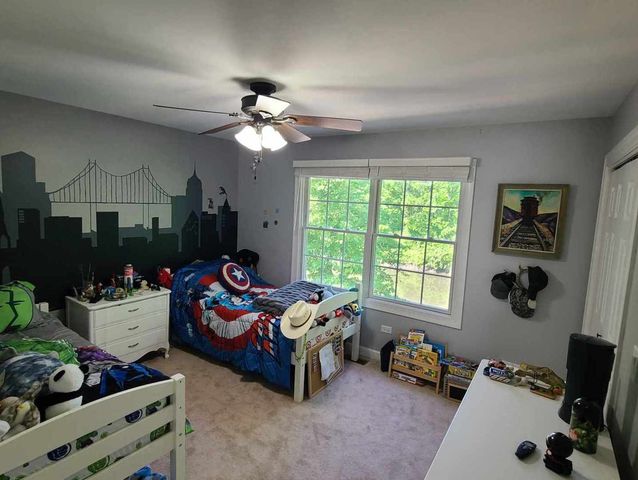 24412 S Dupage Drive, Channahon, IL 60410