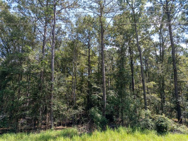 8.51 Acres W P A Rd., Sumrall, MS 39482