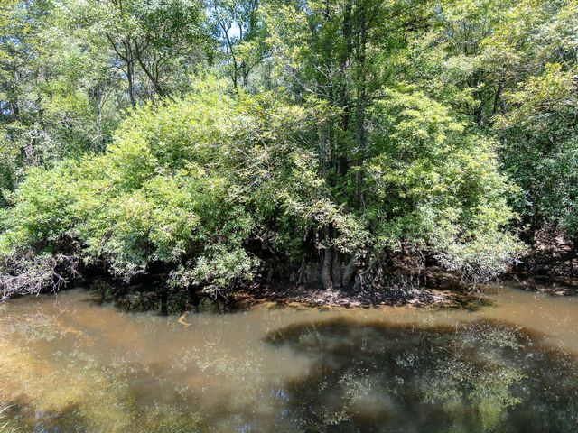 8.51 Acres W P A Rd., Sumrall, MS 39482