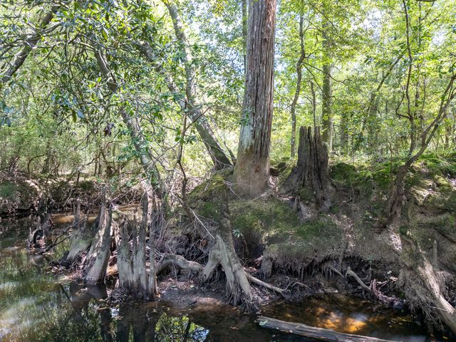 8.51 Acres W P A Rd., Sumrall, MS 39482