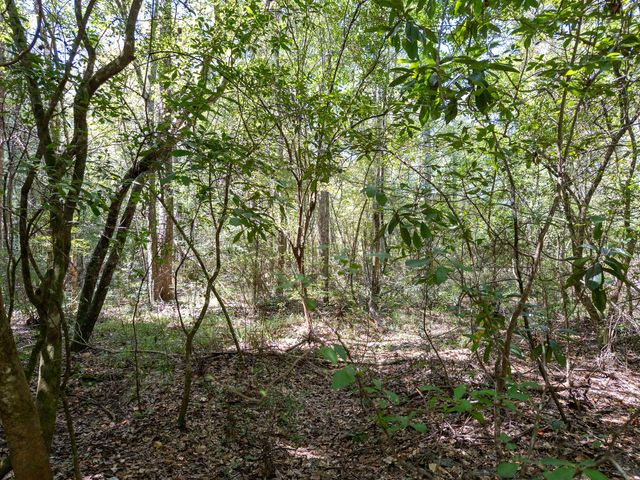 8.51 Acres W P A Rd., Sumrall, MS 39482