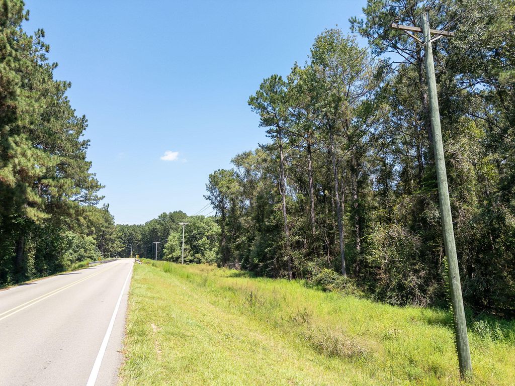 8.51 Acres W P A Rd., Sumrall, MS 39482