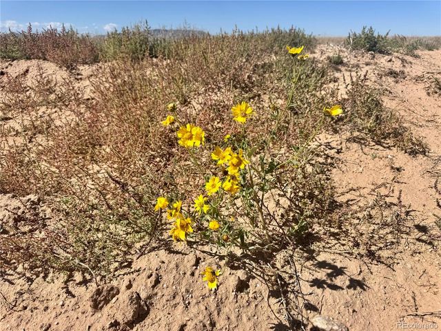 Lot 81 Jason Trail, San Luis, CO 81152