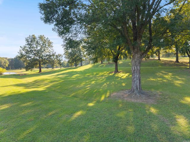 54 Terry Lynn Lane, Perryville, AR 72126