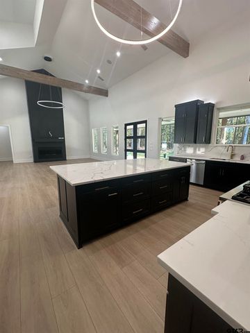 14196 CR 2141, Troup, TX 75789