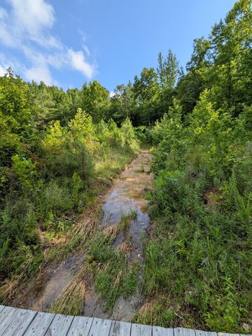 100 Asbury Dr, New Johnsonville, TN 37134