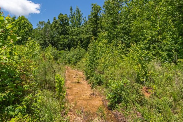 100 Asbury Dr, New Johnsonville, TN 37134