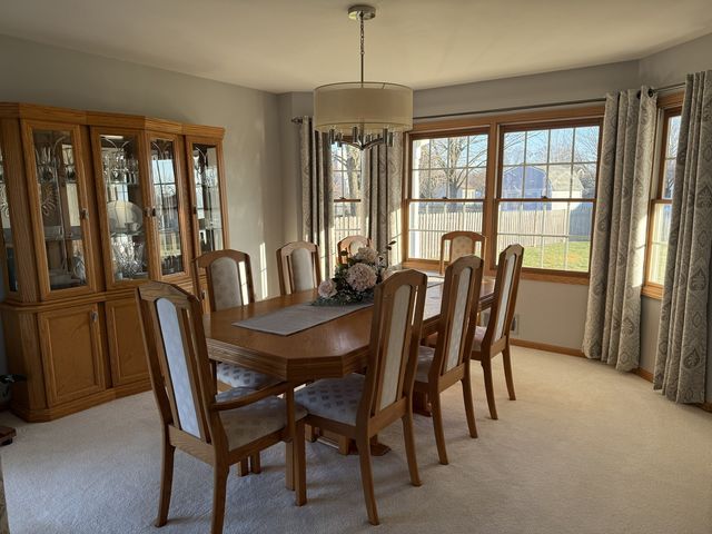 25715 W Cherokee Trail, Channahon, IL 60410