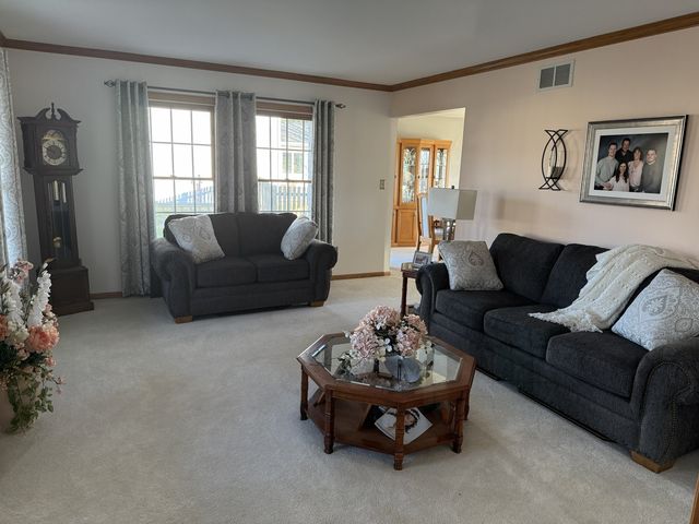 25715 W Cherokee Trail, Channahon, IL 60410