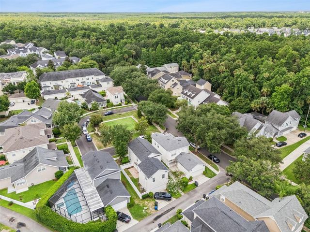 1102 GOLDENASTER COURT, Celebration, FL 34747