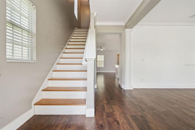 1102 GOLDENASTER COURT, Celebration, FL 34747