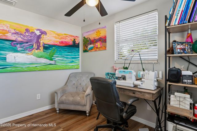 4309 Pallas Avenue, Spring Hill, FL 34608