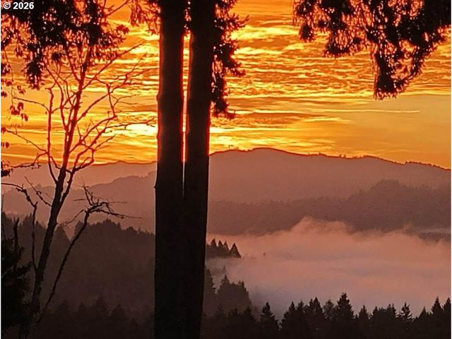 223 Southern Cross Ln, Woodland, WA 98674