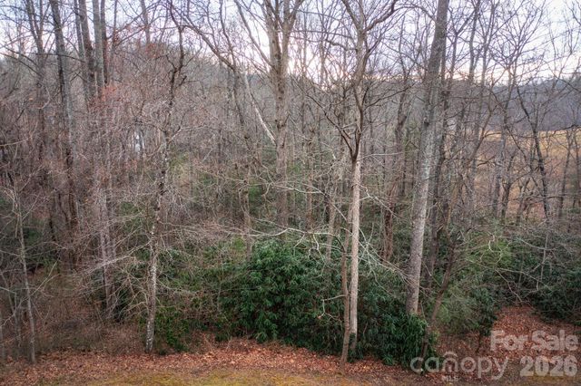 38 Gollum Drive, Fairview, NC 28730