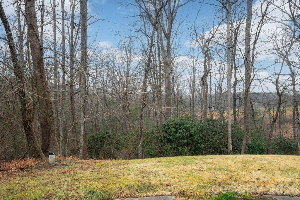 38 Gollum Drive, Fairview, NC 28730