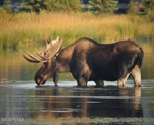 4631 Falcon Circle, Heber City, UT 84032