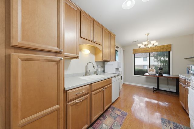 2340 E Old Hicks Road N 1, Palatine, IL 60074