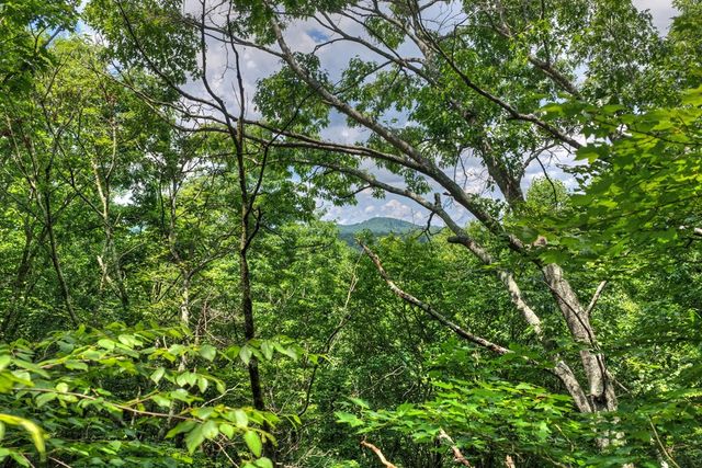 221 Shade Tree Lane, Mineral Bluff, GA 30559