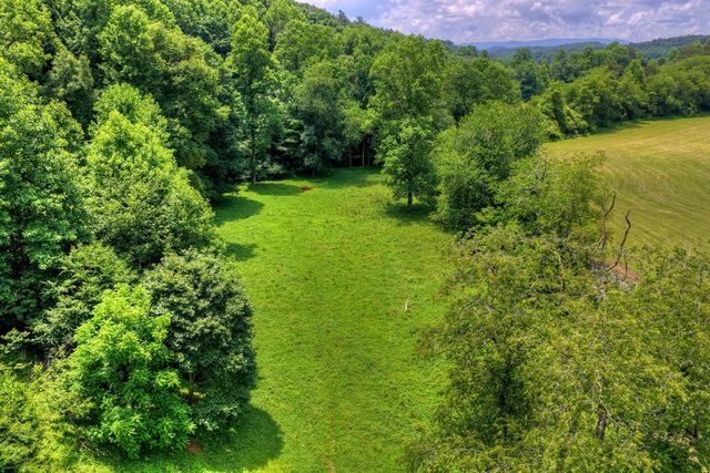 221 Shade Tree Lane, Mineral Bluff, GA 30559