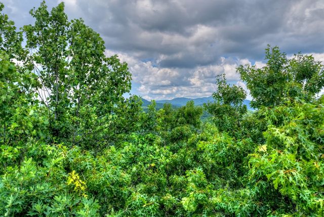 221 Shade Tree Lane, Mineral Bluff, GA 30559