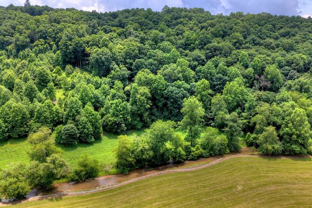 221 Shade Tree Lane, Mineral Bluff, GA 30559