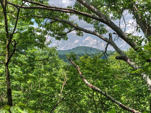 221 Shade Tree Lane, Mineral Bluff, GA 30559