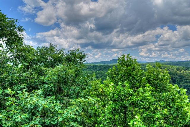 221 Shade Tree Lane, Mineral Bluff, GA 30559