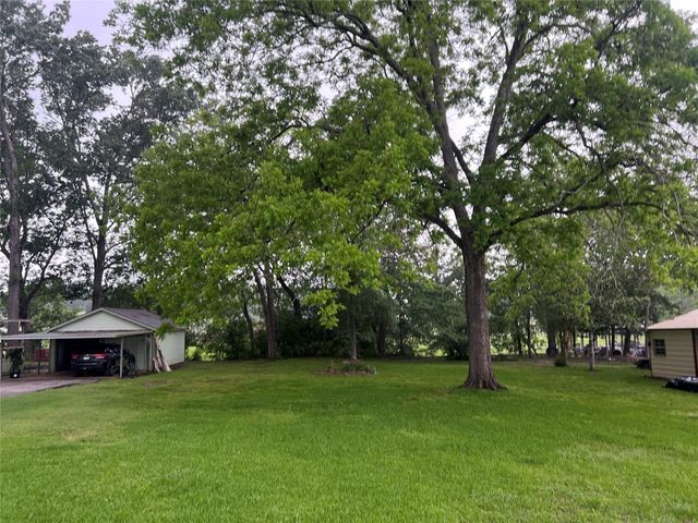 TBD Cove Loop, Coldspring, TX 77331