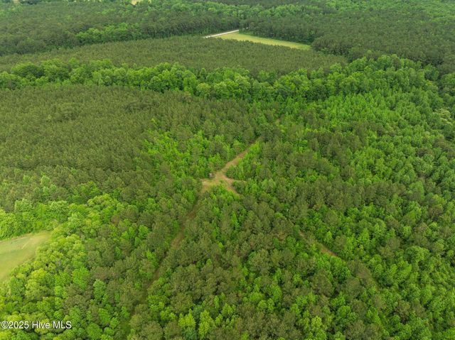 Tbd Nc-50, Wallace, NC 28466