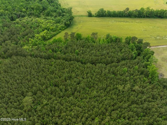 Tbd Nc-50, Wallace, NC 28466