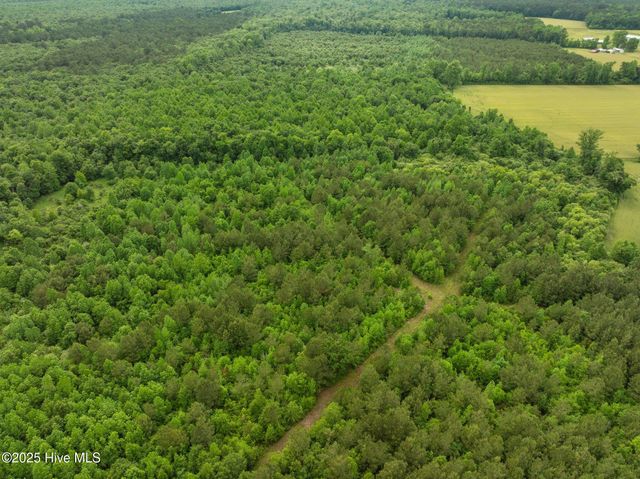 Tbd Nc-50, Wallace, NC 28466