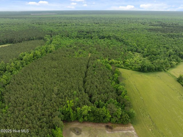 Tbd Nc-50, Wallace, NC 28466