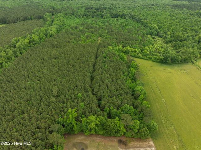 Tbd Nc-50, Wallace, NC 28466