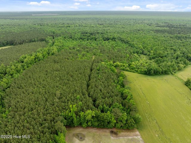 Tbd Nc-50, Wallace, NC 28466