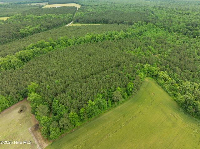 Tbd Nc-50, Wallace, NC 28466