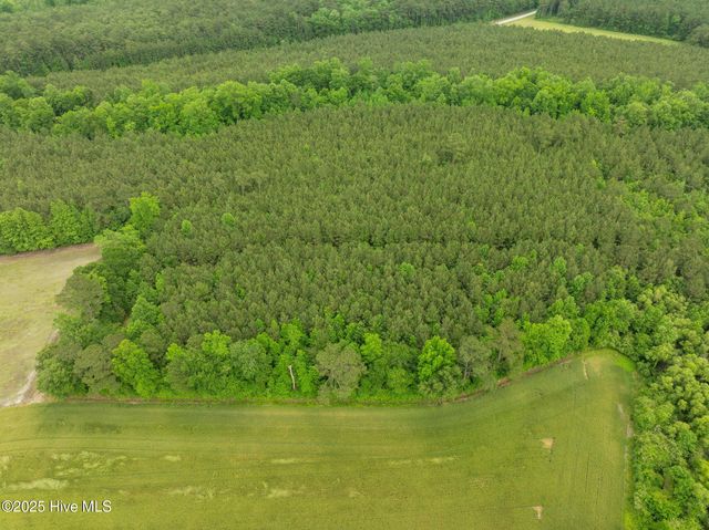 Tbd Nc-50, Wallace, NC 28466