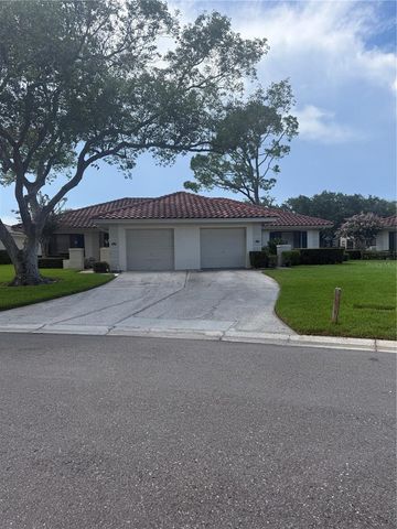 18425 AINTREE COURT, Tampa, FL 33647