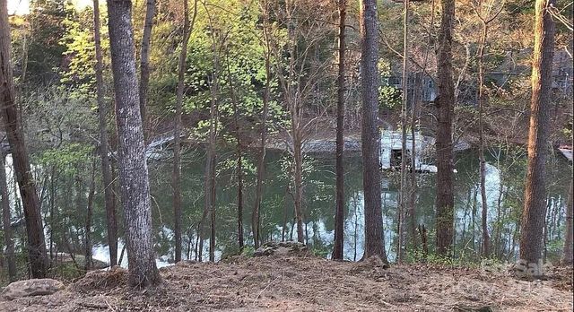 8118 Summit Ridge Drive, Catawba, NC 28609