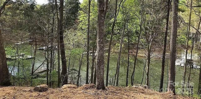 8118 Summit Ridge Drive, Catawba, NC 28609