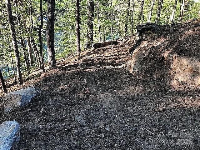 8118 Summit Ridge Drive, Catawba, NC 28609