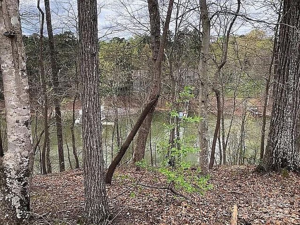 8118 Summit Ridge Drive, Catawba, NC 28609